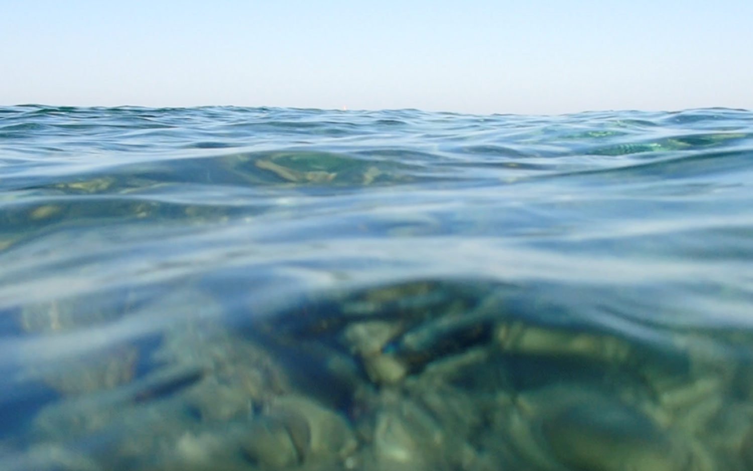Jasmin İhraç Ein Bild von der Wasseroberfläche eines Meeres, dahinter der blaue Horizont.